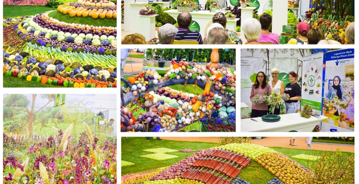 Bildcollage mit Fotos von der Gartenbaumesse Tulln 2022 © Jugend am Werk