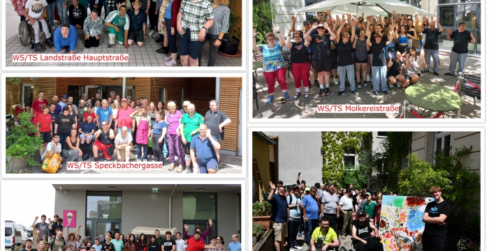 Collage mit Gruppenfotos von der Ehrenamtswoche 2023 © Jugend am Werk