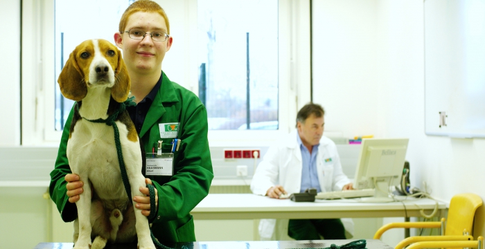 Mitarbeiter in einer Tierklinik mit Hund © Kollektiv Fischka/fischka.com