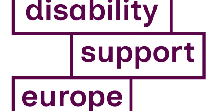 Logo Disability Support Europe © Disability Support Europe