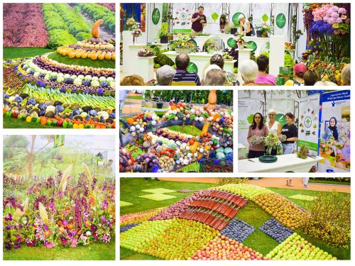 Bildcollage mit Fotos von der Gartenbaumesse Tulln 2022 © Jugend am Werk