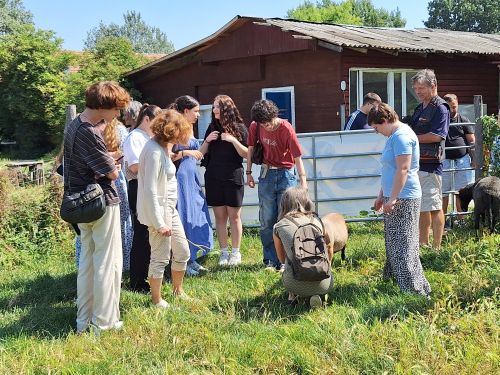Schüler:innen bei der Ehrenamtswoche mit der Tagesstruktur Molkereistraße © Jugend am Werk
