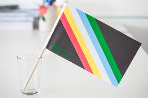 Fahne zum Disability Pride Month © Jugend am Werk