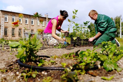 Zwei Lehrlinge bei Gartenarbeiten © Kollektiv Fischka/fischka.com