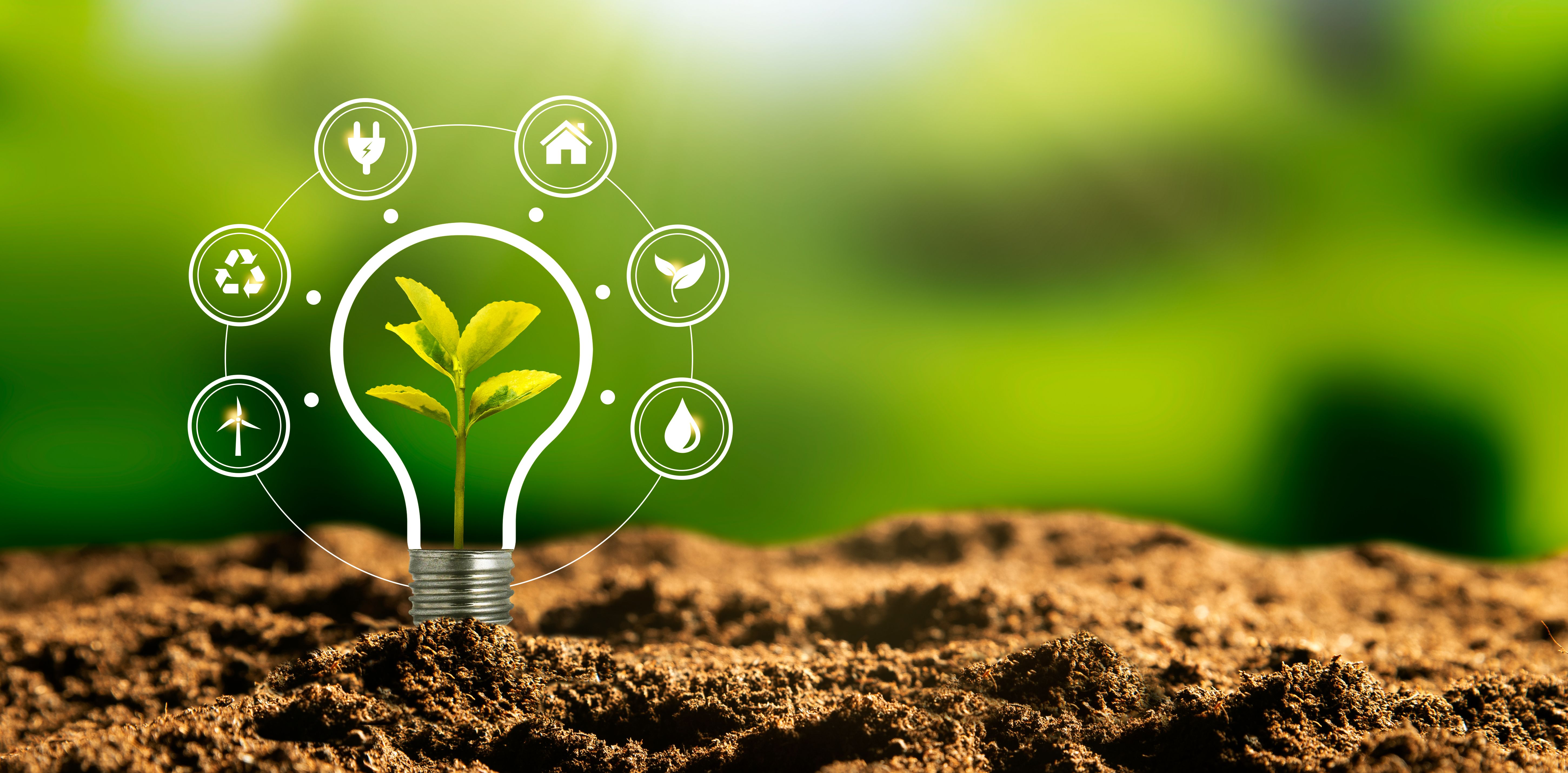 Trainer:in für das Modul "Green Jobs" © Shutterstock