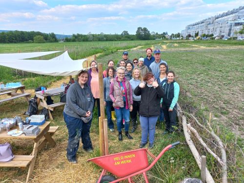 Gruppenfoto vom Social Day mit IQVIA © Jugend am Werk