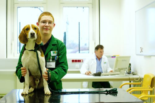 Mitarbeiter in einer Tierklinik mit Hund © Kollektiv Fischka/fischka.com