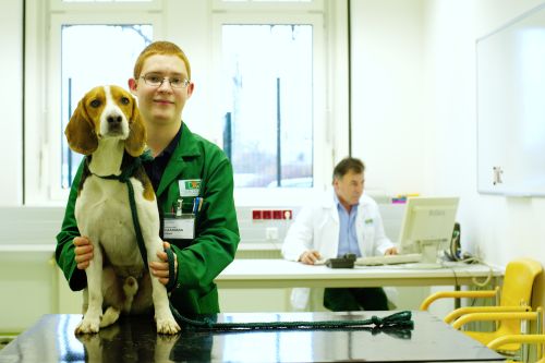 Mitarbeiter in einer Tierklinik mit Hund © Kollektiv Fischka/fischka.com