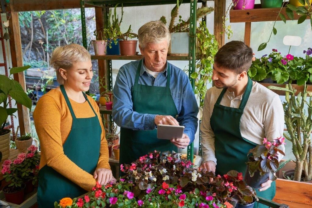 Trainer © Shutterstock